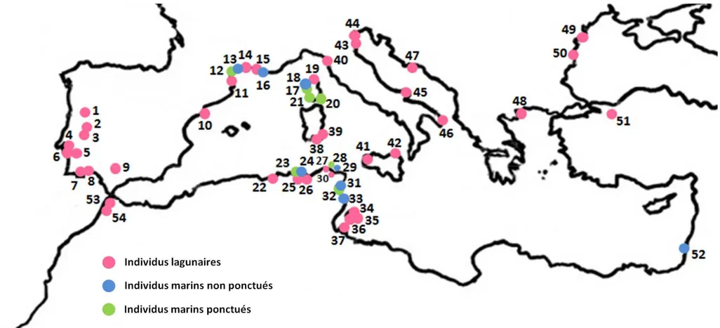 Figure 26. Zone d’étude et lieux d'échantillonnage. Les détails de chaque localité sont présentés dans le tableau 2 9 