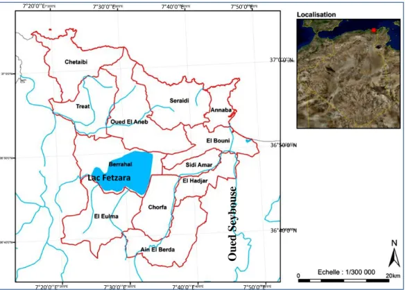 Figure 19. Carte montrant le réseau hydrographique dans la wilaya d’Annaba                                            (Oued Seybouse, Lac Fetzara)