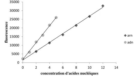 Figure 14. Droites d’étalonnages des concentrations en ARN et en ADN. 