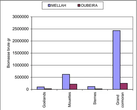 Tableau 14 : proportions relatives des biomasses brutes          des quatre groupes d’oiseaux marins en %