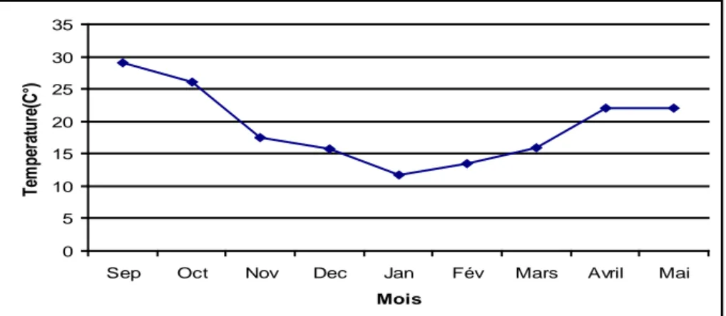 Figure 9: Evolution mensuelle de la température de l’eau de la lagune El Mellah. 