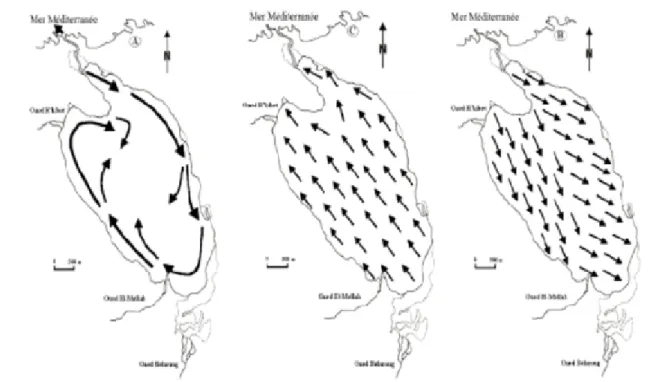 Figure 3. Mouvements des eaux superficielles. A: trajectoires hypothétiques (d’après Guelorget et al., 1989)