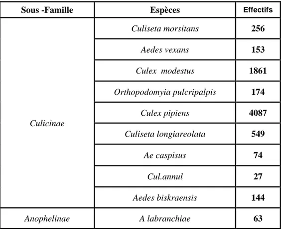 Tableau 3 : Composition du peuplement des Culicidés 