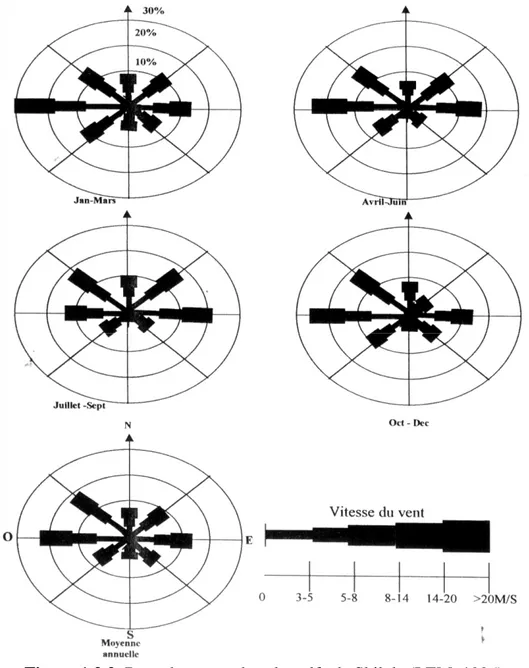 Figure 1.2.2. Rose des vents dans le golfe de Skikda (LEM, 1996) 