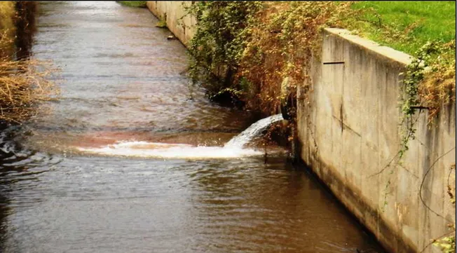 Figure 3.2.6. Photo montrant la couleur des eaux rejetées par la RAF. 