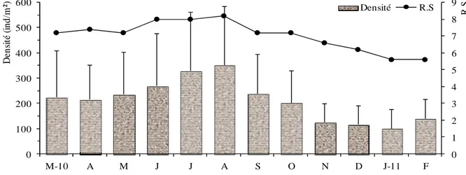 Figure  27.  Variations  mensuelles  de  la  richesse  spécifique  et  de  la  densité  moyenne  (ind.m -2 )  de  la   malacofaune à l’échelle de la lagune Mellah