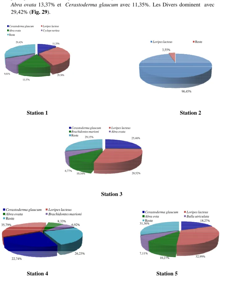 Figure 29. Dominances moyennes (%) des principales espèces malacologiques selon les stations prospectées 