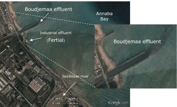 Figure 3: Site position of the urbain waste of the western Annaba city in Annaba Bay.