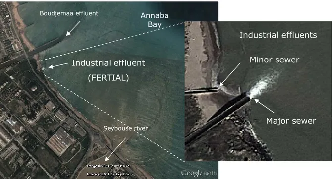 Figure 5: Sites position of major industrial sources of pollution in Annaba Bay: the major and minor sewer of FERTIAL.