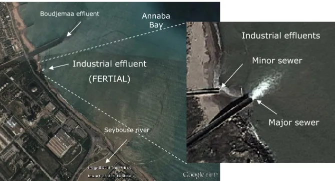 Figure 5: Sites position of major industrial sources of pollution in Annaba Bay: the major and minor sewer of FERTIAL.