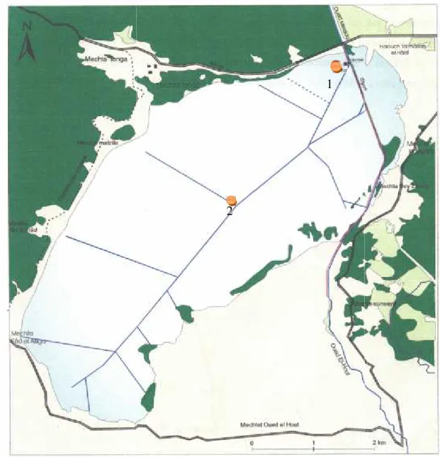 Figure 7 : Localisation des stations de prélèvement dans le lac Tonga (M.P.R.H, 2004 modifié).