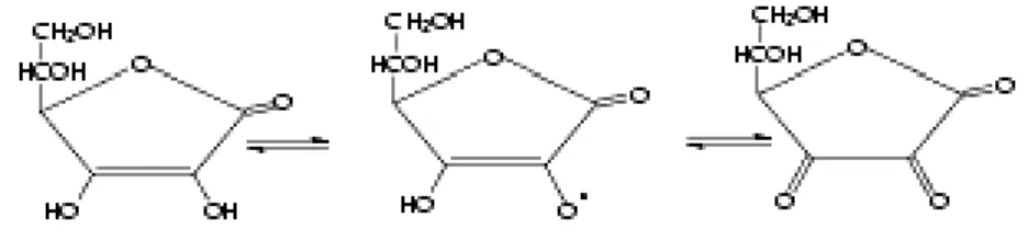 Figure 4 :  Différentes structures de la vitamine C, selon ses trois                 degrés d’oxydoréduction (d’après Allain, 2000)