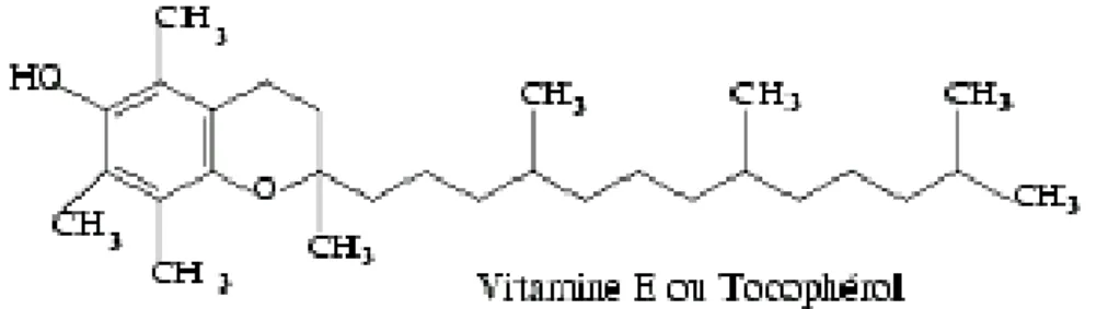 Figure 5 : Structure moléculaire de la vitamine E (Tocopherol) 