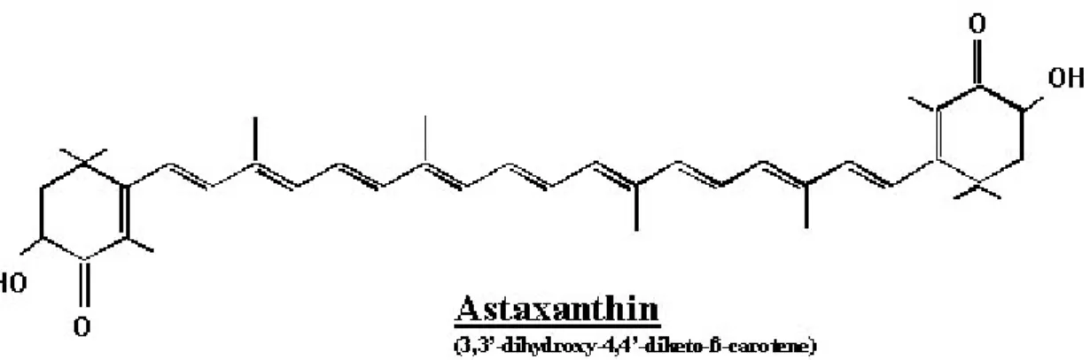 Figure 7 : Structure moléculaire de l’astaxanthine 