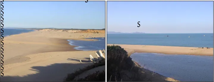 Figure 3. A gauche et  droite vue du colmatage de l’embouchure de la Mafrag (période de sécheresse) en 2007, et la  formation de bancs de sable