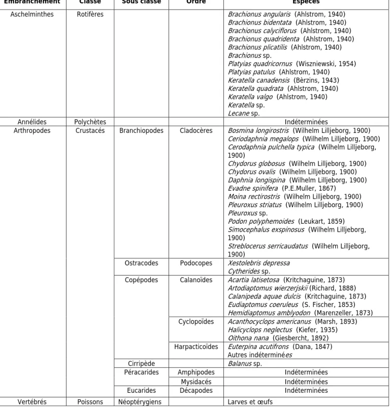 Tableau 7. Liste systématique des taxons récoltés au cours de la période (29 janvier et 27 décembre 2007) dans le  système estuarien du Mafrag