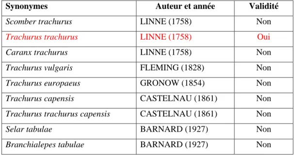 Tableau 2: Différentes synonymies du Saurel.  