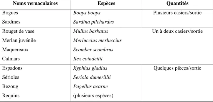 Tableau 3: Espèces commerciales associées au Saurel. 