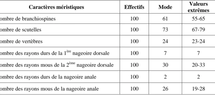 Tableau 4: Représentation des résultats des caractères méristiques  chez le Saurel. 