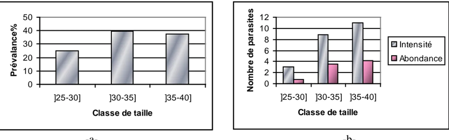 Figure 29: Distribution, par classe de taille, des indices parasitaires des Monopisthocotylés  