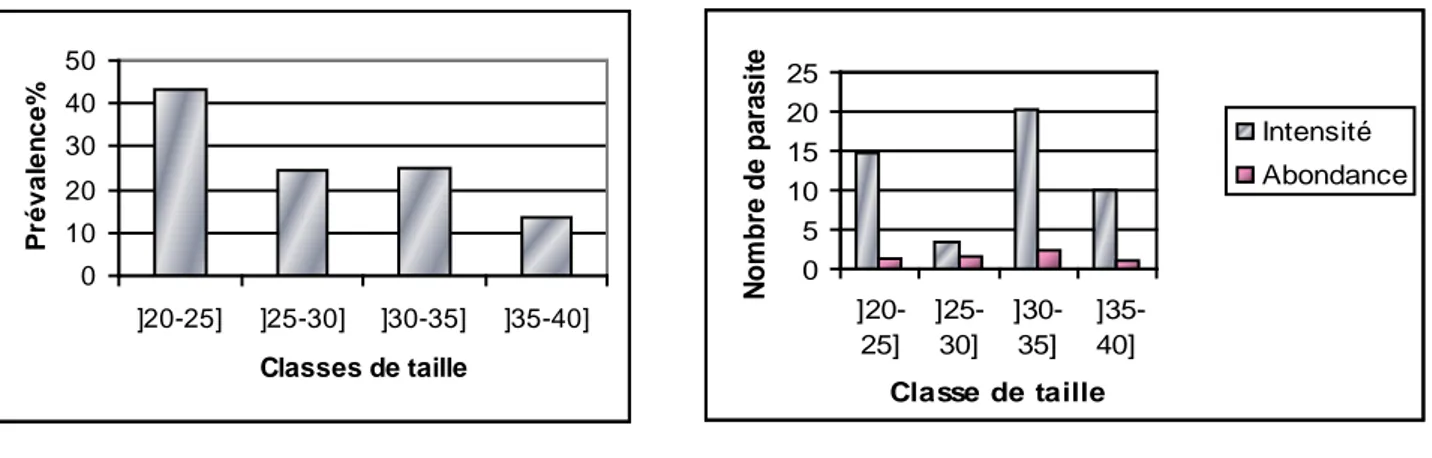 Figure 32 : Distribution, par classe de taille, des indices parasitaires des Monopisthocotylés  