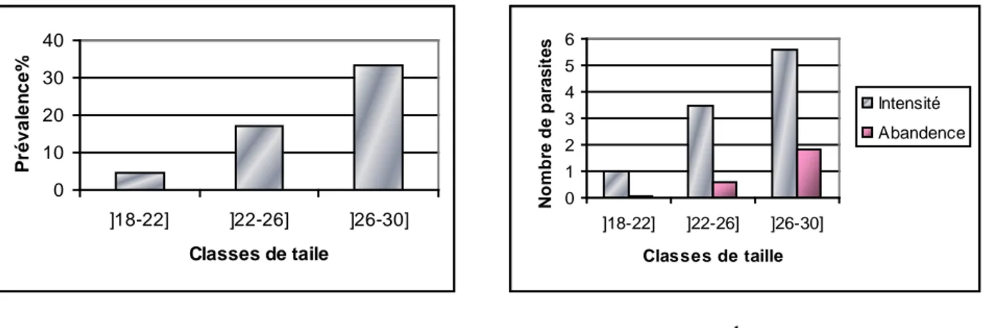 Figure 36 : Distribution, par classe de taille, des indices parasitaires des Monopisthocotylés 