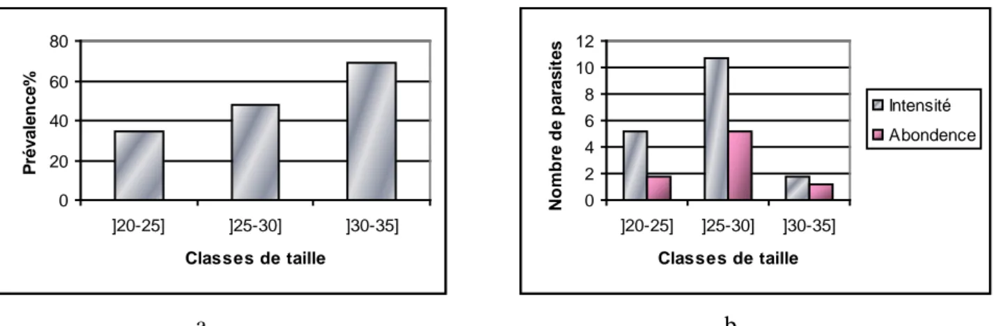 Figure 38 : Distribution, par classe de taille, des indices parasitaires des ectoparasites récoltés 