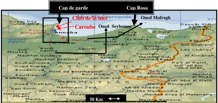 Figure 12:  Carte  représentant le golfe d’Annaba  et les 2 sites de posidonies  dans les plages de: La 