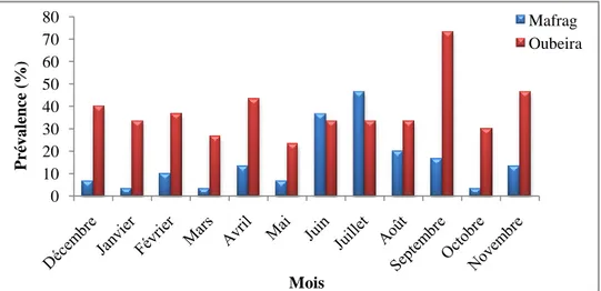 Figure 53 : Variations mensuelles de l’intensité moyenne d’infestation et de l’abondance de  Bothriocephalus claviceps chez l’anguille du Mafrag