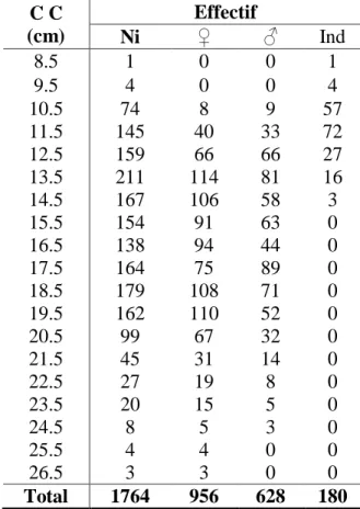 Tableau 2. Distribution des fréquences de tailles du stock de S.aurita du golfe de Annaba