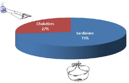 Figure 10. Répartition des captures par type de métier de S.aurita débarquées                       