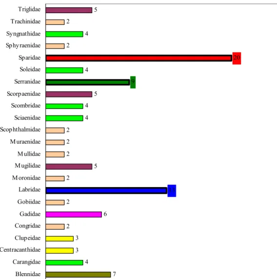 Figure 8. Richesse spécifique par famille de l’ichtyofaune des côtes Est algériennes (les valeurs 