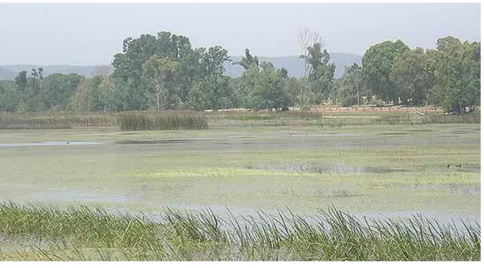 Figure 9 : Photographie du lac Tonga (source : annabacity.com) 