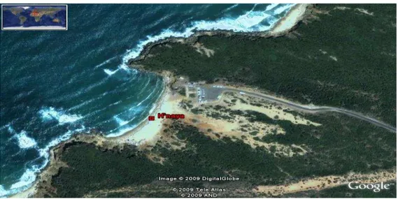 Figure 5: situation géographique du site H’naya au niveau du golfe Annaba.  (Google, 2008 modifiée) 