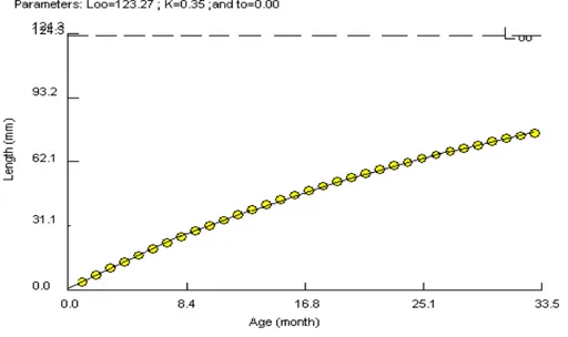 Figure 23 : Tracé de la courbe de croissance de P.perna de H`naya réalisé à partir des  parametres de croissance calculés