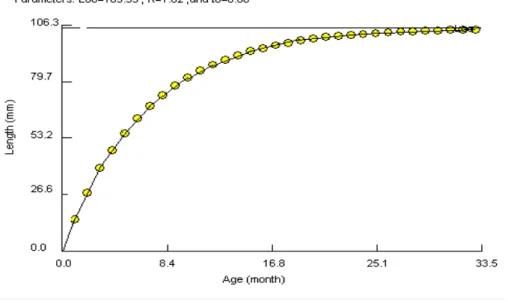 Figure  27: Tracé de la courbe de croissance de P.perna récoltée à l`Aouinate réalisé à partir  des paramètres de croissance calculés