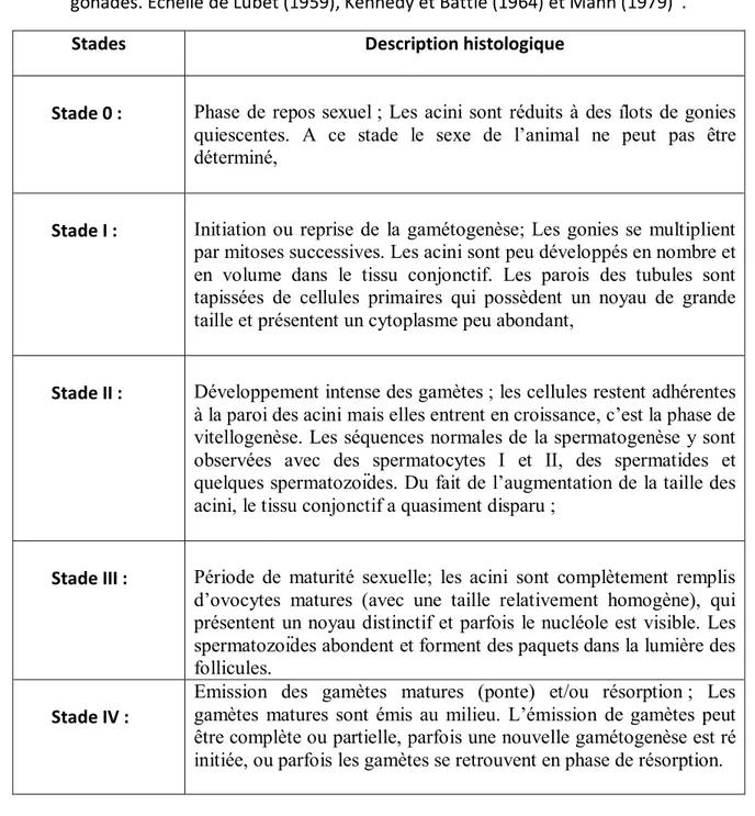 Tableau 1: Classification des stades de maturation  selon les caractéristiques histologiques des 