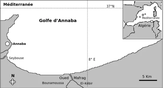 Figure  2 : Présentation  du  golfe  d’Annaba  et position des  stations  échantillonnées  de oued Seybouse