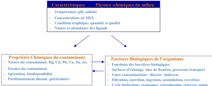 Figure 2 : Représentation schématique des trois groupes de facteurs interagissant dans le processus de 