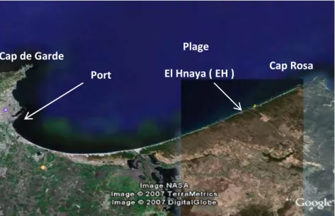 Figure 8a : Situation géographique des sites au niveau du golfe d’Annaba        Plage  El Hnaya ( EH )  Port Cap de Garde                                     N   Cap Rosa 