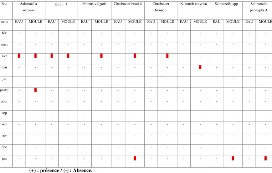 Tableau 3 : Résultat des tests confirmatifs destinés à la recherche et l‟identification des Salmonelles 