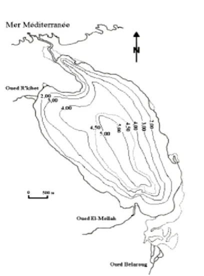 Figure 3. Bathymétrie de la lagune du Mellah (d’après Guelorget et al., 1982).