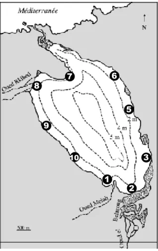 Figure 8. Localisation des stations prospectées en périphérie de la lagune du Mellah.1235678910