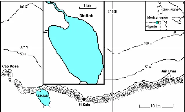 Figure 1. Position géographique de la lagune Mellah.