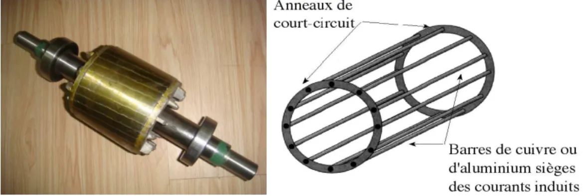 Figure I.4  Représentation du  Rotor à cage.  I.3.2.2 Rotor bobiné  