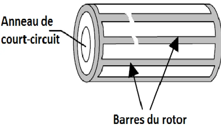 Figure I.16 : rupture de barres dans le rotor  à cage d’écureuil    I.5.3.7  Rupture d’anneaux de court-circuit  