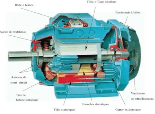 Figure 1.1. Eléments constitution d‟une machine asynchrone à cage d‟écureuil  [3-4] 