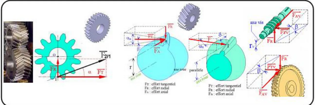 Fig. II.8. Effort sur les dents d’engrenage selon le type de denture  [45]