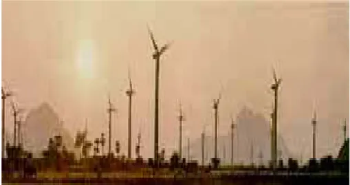 Fig. I.6 : Ferme éolienne de 10 MW dans la région de Tindouf [6] 