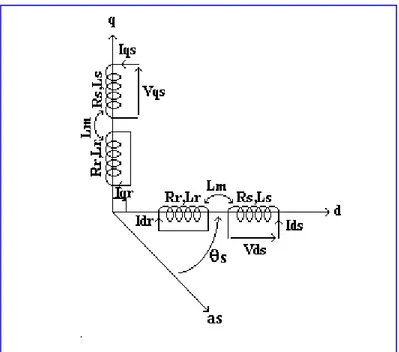 Fig. IV.2 :  Représentation physique de la transformation de Park  pour une machine asynchrone [13] 